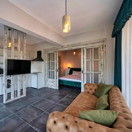 Only Blue Mansion 1 Bed and Breakfast *